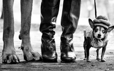 A la recherche du temps perdu